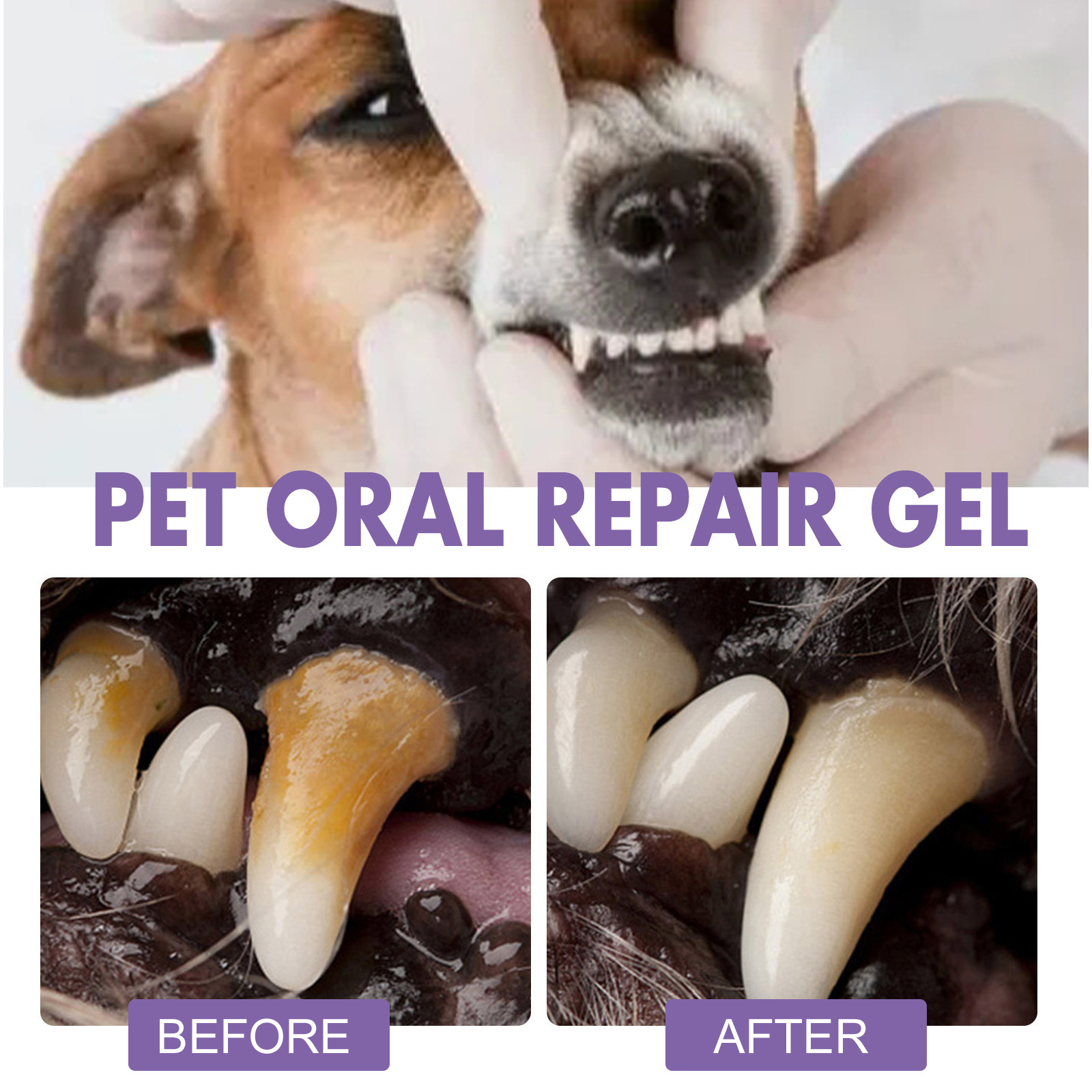 Pet Oral Repair Gel Puppy Tart - огляд і ціна Teeth Whitening Doctor