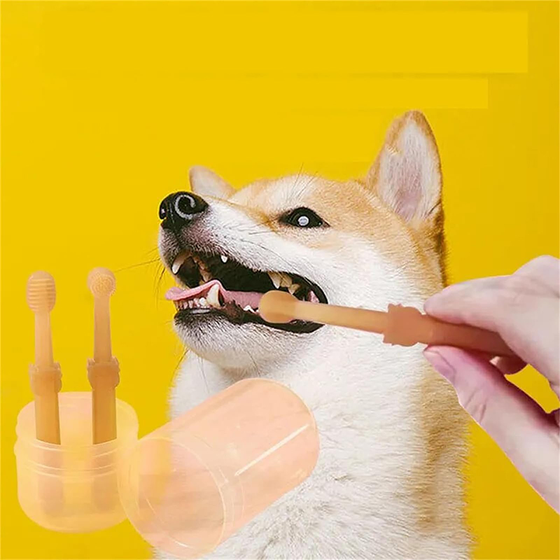 Teeth Whitening Dog Cat Silico - огляд і ціна Teeth Whitening Kit